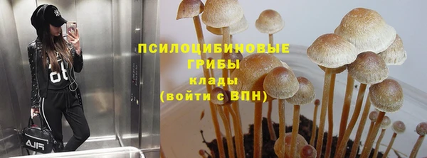 ГАЛЛЮЦИНОГЕННЫЕ ГРИБЫ Балахна