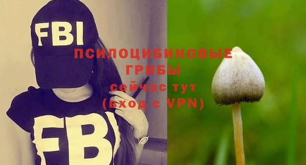 ГАЛЛЮЦИНОГЕННЫЕ ГРИБЫ Балахна